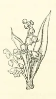 An illustration from The Works of Alfred Tennyson, etc (1872)