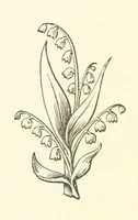 An illustration from The Works of Alfred Tennyson, etc (1872)