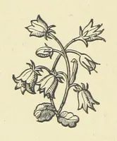 An illustration from The Works of Alfred Tennyson (1877)