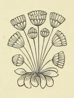 An illustration from The Works of Alfred Tennyson (1877)