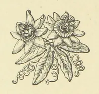 An illustration from The Works of Alfred Tennyson (1877)
