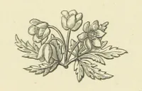 An illustration from The Works of Alfred Tennyson (1877)