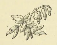 An illustration from The Works of Alfred Tennyson (1877)
