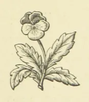 An illustration from The Works of Alfred Tennyson (1877)