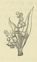 An illustration from The Works of Alfred Tennyson (1877)