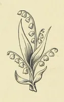 An illustration from The Works of Alfred Tennyson (1877)