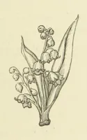 An illustration from The Works of Alfred Tennyson (1877)