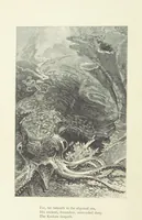 An illustration from The Works of Alfred Tennyson ... With portrait and ... illustrations (1881)