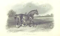 An illustration from Angol-Skóthoni napló 1858 és 1859 évekről (1859)