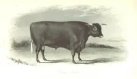 An illustration from Angol-Skóthoni napló 1858 és 1859 évekről (1859)