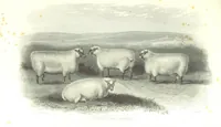 An illustration from Angol-Skóthoni napló 1858 és 1859 évekről (1859)