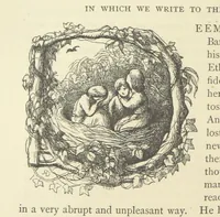 An illustration from The Works of William Makepeace Thackeray. [Library Edition (1869)