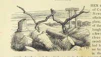 An illustration from The Works of William Makepeace Thackeray. [Library Edition (1869)
