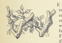 An illustration from The Works of William Makepeace Thackeray. [Library Edition (1869)