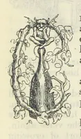 An illustration from The Oxford Thackeray. With illustrations. [Edited with introductions by George Saintsbury