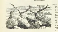 An illustration from The Oxford Thackeray. With illustrations. [Edited with introductions by George Saintsbury