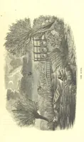 An illustration from The Adventures of Burnaby Lee: or, The Struggles of a Son and Heir (1852)