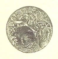 An illustration from The Poetical Works of James Thomson, James Beattie, Gilbert West and John Bampfylde ... New edition (1878)