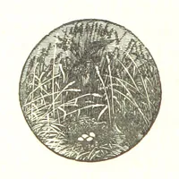 An illustration from The Poetical Works of James Thomson, James Beattie, Gilbert West and John Bampfylde ... New edition (1878)