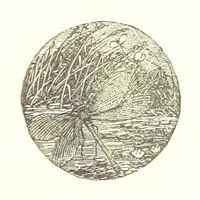 An illustration from The Poetical Works of James Thomson, James Beattie, Gilbert West and John Bampfylde ... New edition (1878)
