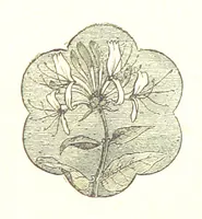 An illustration from The Poetical Works of James Thomson, James Beattie, Gilbert West and John Bampfylde ... New edition (1878)