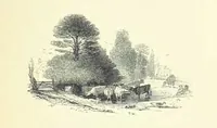 An illustration from The Seasons, and the Castle of Indolence ... With a biographical and critical introduction by A. Cunningham, etc (1841)
