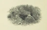 An illustration from The Seasons, and the Castle of Indolence ... With a biographical and critical introduction by A. Cunningham, etc (1841)
