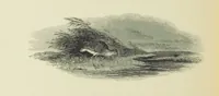 An illustration from The Seasons, and the Castle of Indolence ... With a biographical and critical introduction by A. Cunningham, etc (1841)