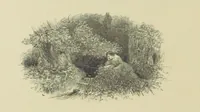 An illustration from The Seasons (1892)