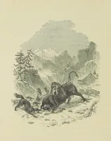 An illustration from The Seasons (1892)
