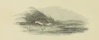 An illustration from The Seasons (1892)