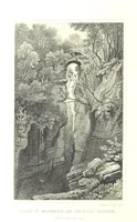 Picture 22 of 39 from Picturesque Scenery in Wales, illustrated by thirty-seven engravings on steel, by H. Adlard, Allen, Gastineau and others. With descriptions by J. Tillotson (1860), leaf 132