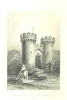 Picture 39 of 39 from Picturesque Scenery in Wales, illustrated by thirty-seven engravings on steel, by H. Adlard, Allen, Gastineau and others. With descriptions by J. Tillotson (1860), leaf 234