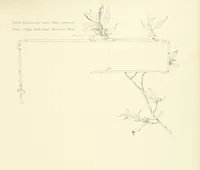 Picture 22 of 43 from Time's Footsteps. A record of red letter days and events. [Illustrated (1890), leaf 25