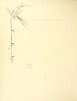 Picture 43 of 43 from Time's Footsteps. A record of red letter days and events. [Illustrated (1890), leaf 54