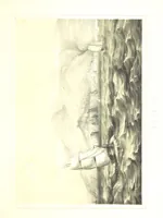 An illustration from To India and back by the Cape. By a Traveller. With numerous drawings on wood and stone by J. C. Anderson, from sketches by the author and others (1895)