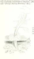 An illustration from To India and back by the Cape. By a Traveller. With numerous drawings on wood and stone by J. C. Anderson, from sketches by the author and others (1895)