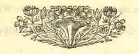 An illustration from Miscellaneous Poems and Translations (1731)