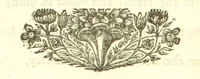 An illustration from Miscellaneous Poems and Translations (1731)