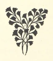 An illustration from The Bishop's Wife. A sketch (1893)