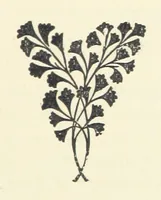 An illustration from The Bishop's Wife. A sketch (1893)