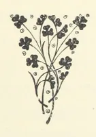 An illustration from The Bishop's Wife. A sketch (1893)