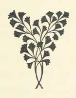 An illustration from The Bishop's Wife. A sketch (1893)
