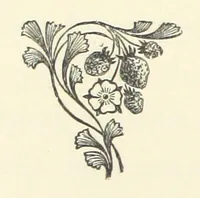 Picture 15 of 19 from The Bishop's Wife. A sketch (1893), leaf 230