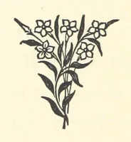An illustration from The Bishop's Wife. A sketch (1893)