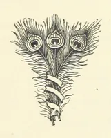 Picture 4 of 19 from The Bishop's Wife. A sketch (1893), leaf 27
