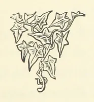 An illustration from The Bishop's Wife. A sketch (1893)