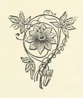An illustration from The Bishop's Wife. A sketch (1893)