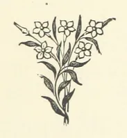 An illustration from The Bishop's Wife. A sketch (1893)