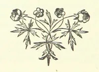 Picture 10 of 24 from Spain ... With 21 illustrations by J. K. Meadows (1872), leaf 174